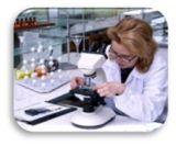 reliable lab report writing experts